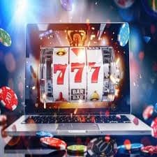 23win77