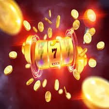 23win77